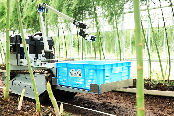Inaho's autonomous asparagus picking robot, Japan