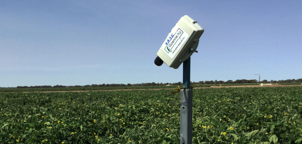 Goanna Ag canopy sensor in CSIRO tomato trials