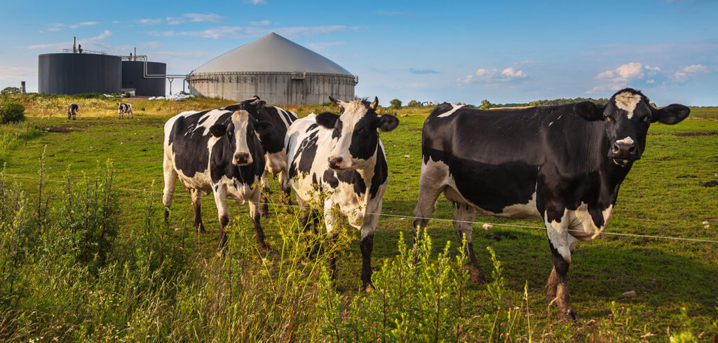 Biogas