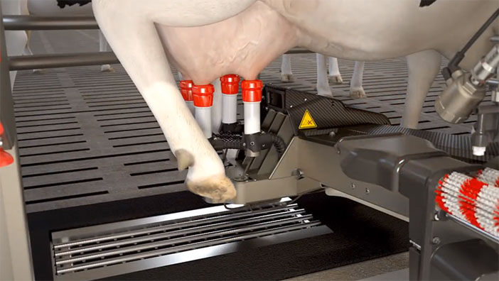 Should a cow become in any way nervous the Astronaut’s arm is built to withstand a powerful kick