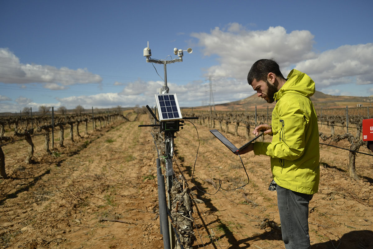“We have applied technology to vineyards to increase the productivity of the crop, and to reduce the amount use the amount of water used to irrigate,” said Asin Perez