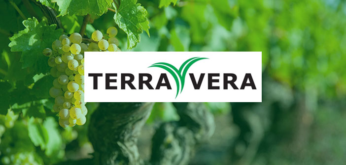 Reducing crop losses with Terra Vera's sustainable pesticide alternative