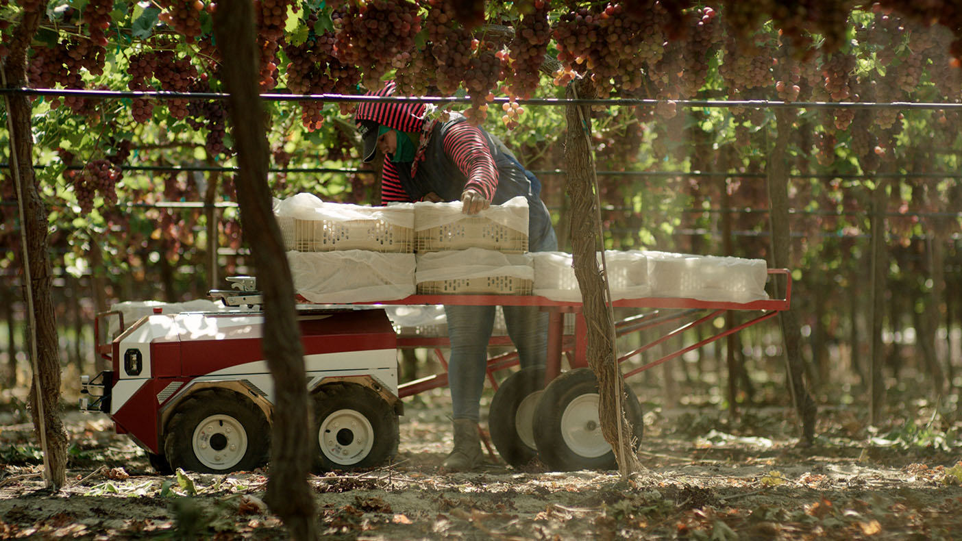 Future Acres says Carry improves those conditions by working alongside farmworkers as they harvest to lessen the load.
