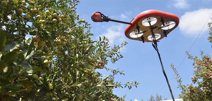 Kubota and Tevel to develop fruit-picking drones