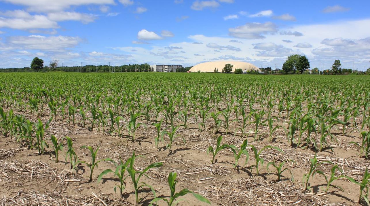 more robust root development, which promotes better crops