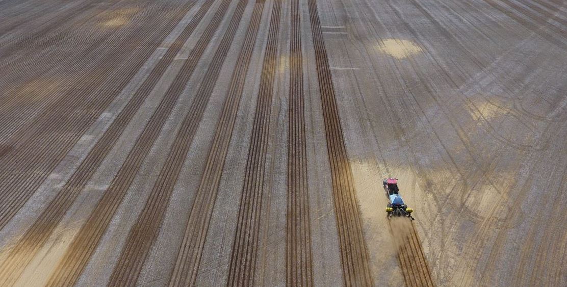 fertile strip tilling application