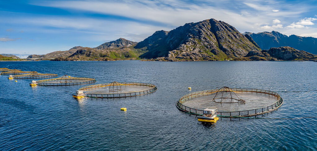 Improving disease prediction in aquaculture with machine learning software