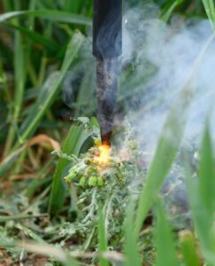 Weed zapping