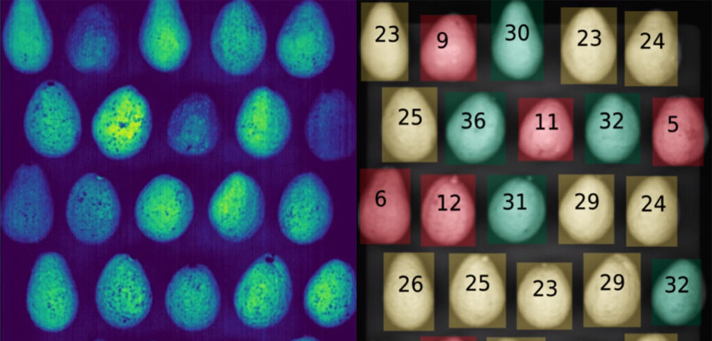 Apeel adds hyperspectral imaging technology in first acquisition