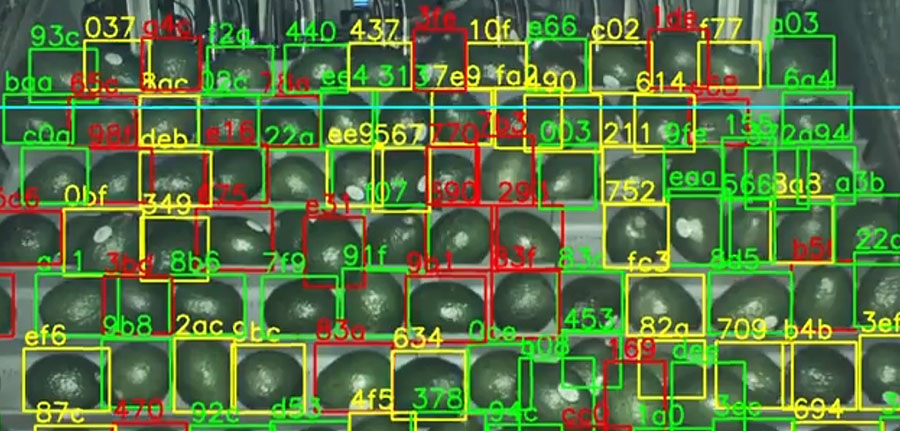 We’ve begun work with our partners to upgrade Apeel application systems with hyperspectral camera capabilities