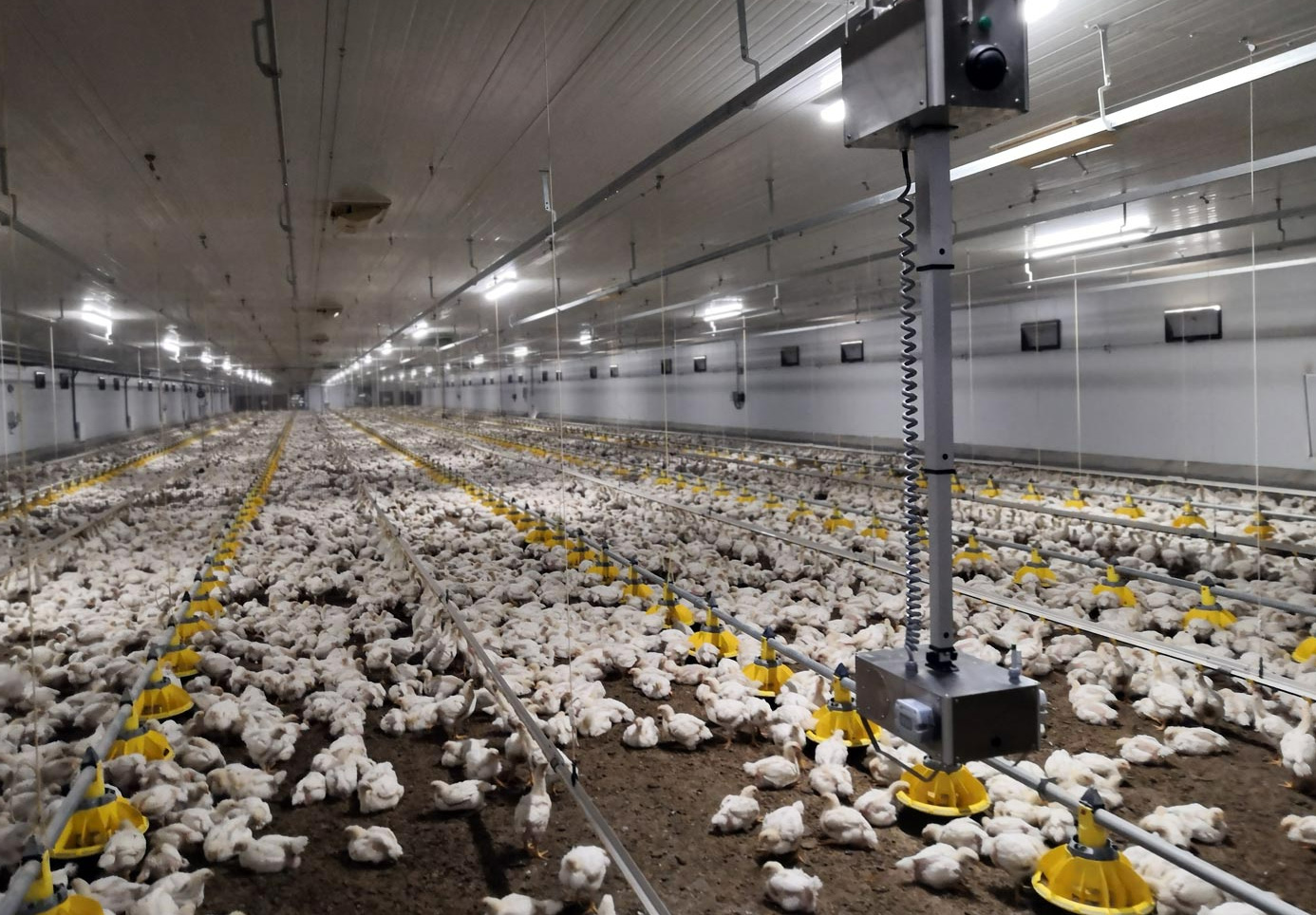 The rail-mounted robot uses a complete set of sensors to measure thermal sensation, air quality, light and sound in poultry housing.