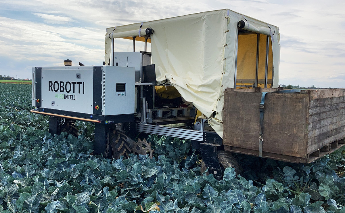 The RoboVeg Robotti is the first autonomous system for harvesting broccoli and therefore contributes to significantly improving productivity. For the growers, this represents increases in efficiency and reduced costs.